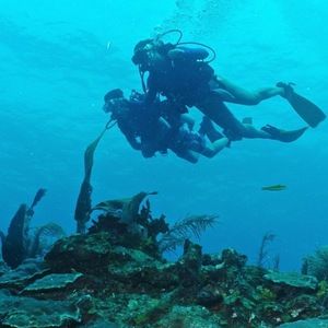 Meet your Posher, Anne